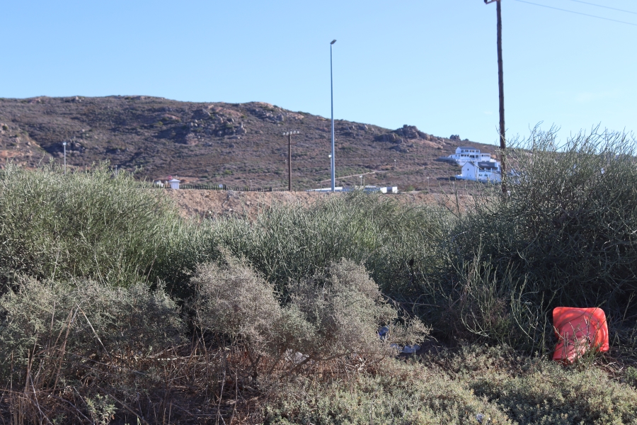 0 Bedroom Property for Sale in Steenbergs Cove Western Cape